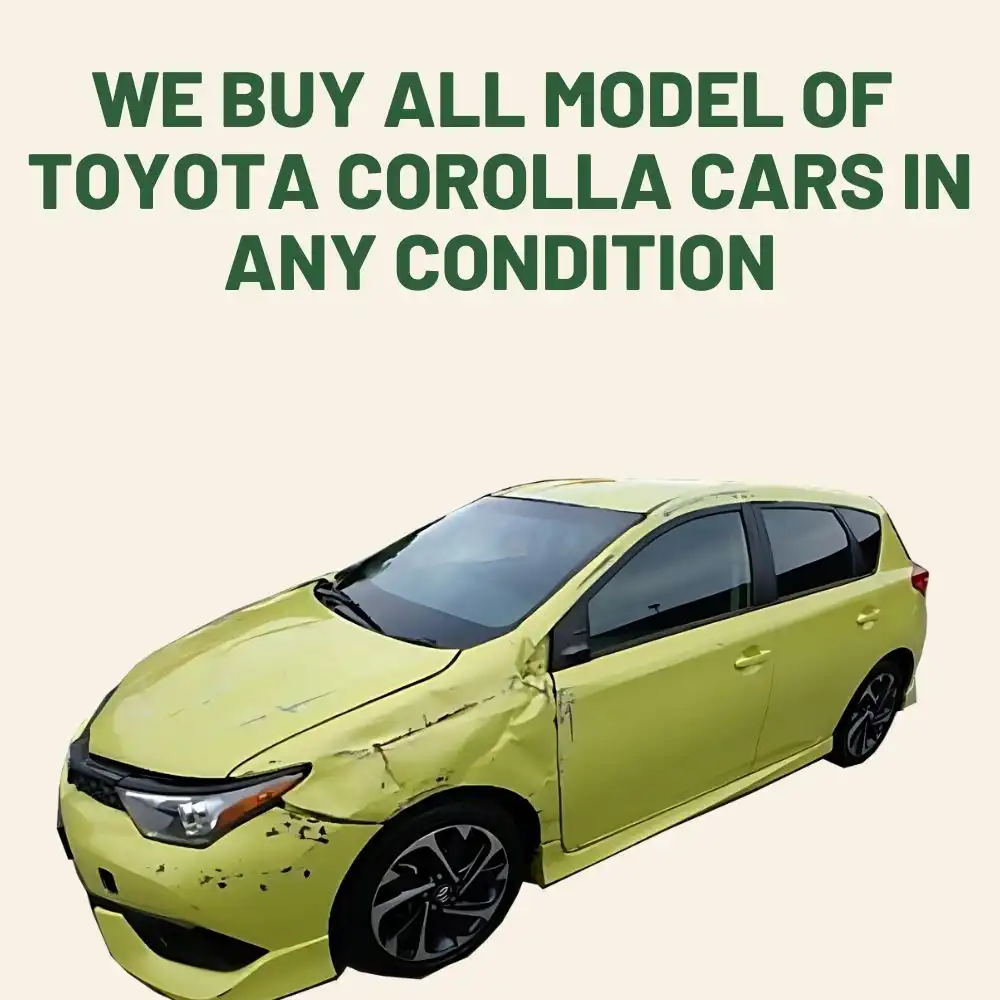 we buy any model of Toyota car