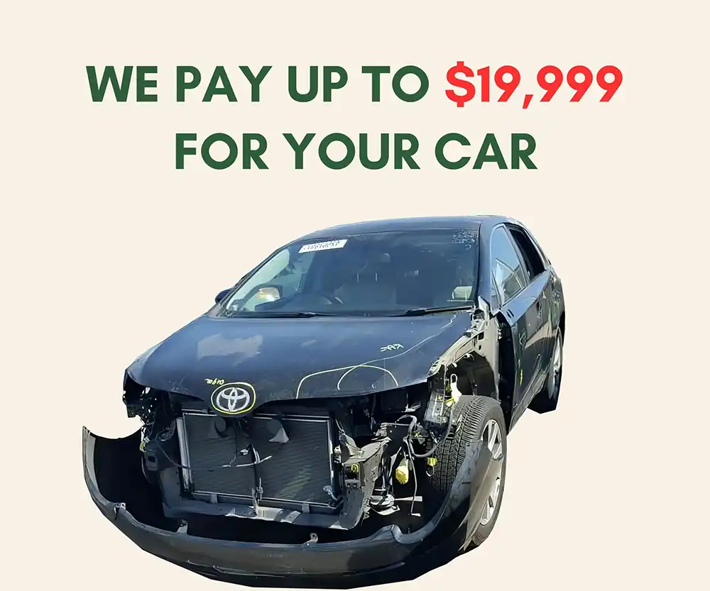 we pay up to 19999 for your car in Frankston