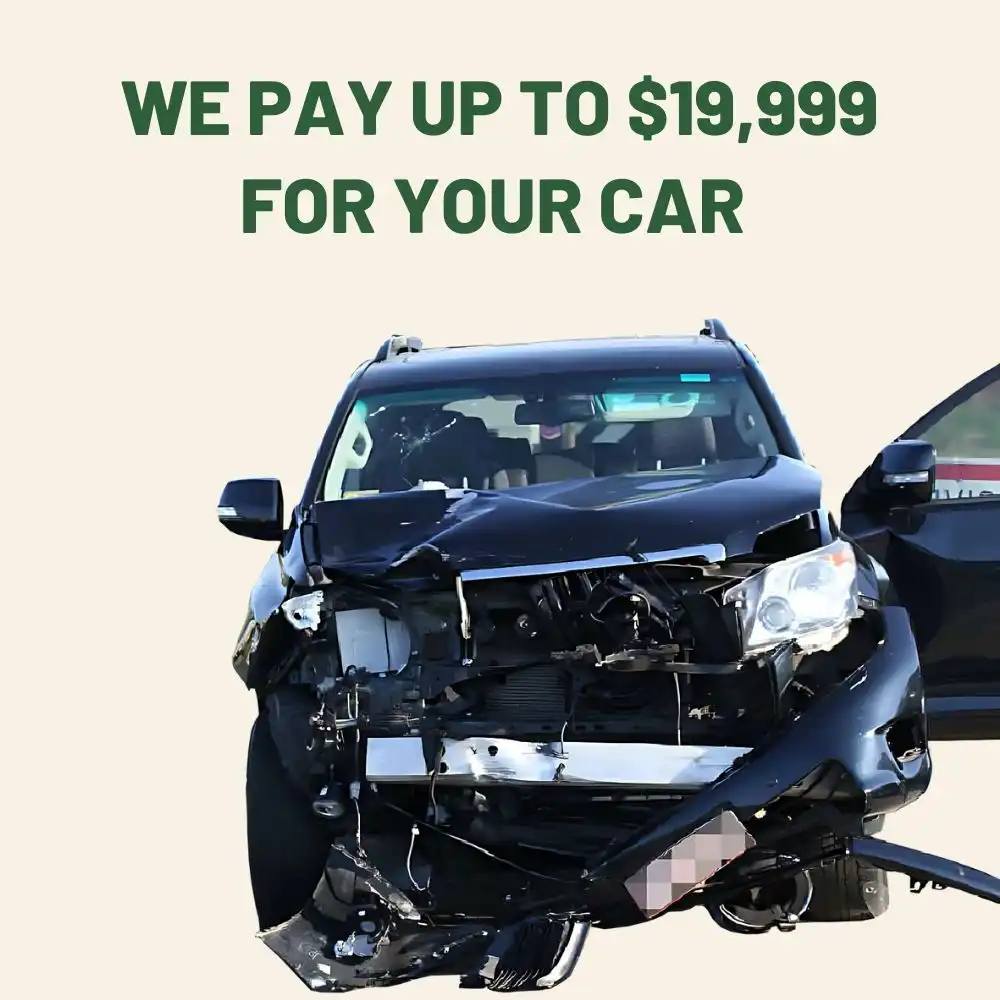 we pay up to $19,900 cash for your car