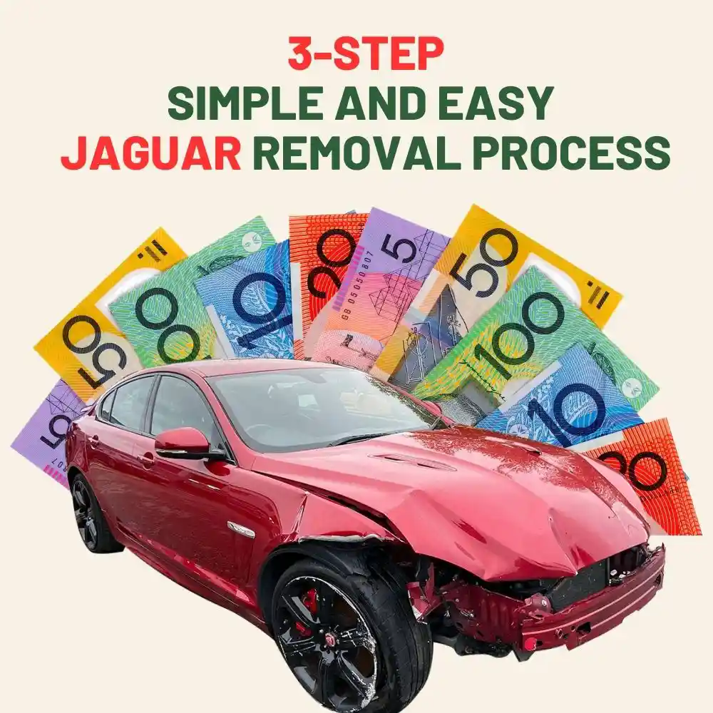 3 step simple and easy Jaguar removal process